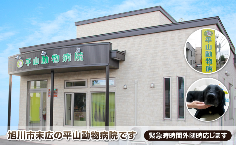旭川市末広の平山動物病院です 緊急時時間外随時応じます